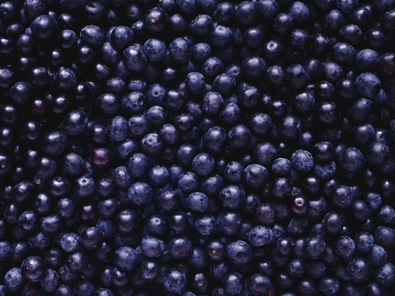 blueberries, 2K, fruit, food, berries