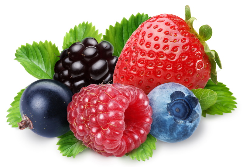 black currant, blackberry - Fruit, cut out, gourmet, refreshment, wellbeing, isolated, raw Food, vegetarian Food, healthy Eating, dessert, no People, group of Objects