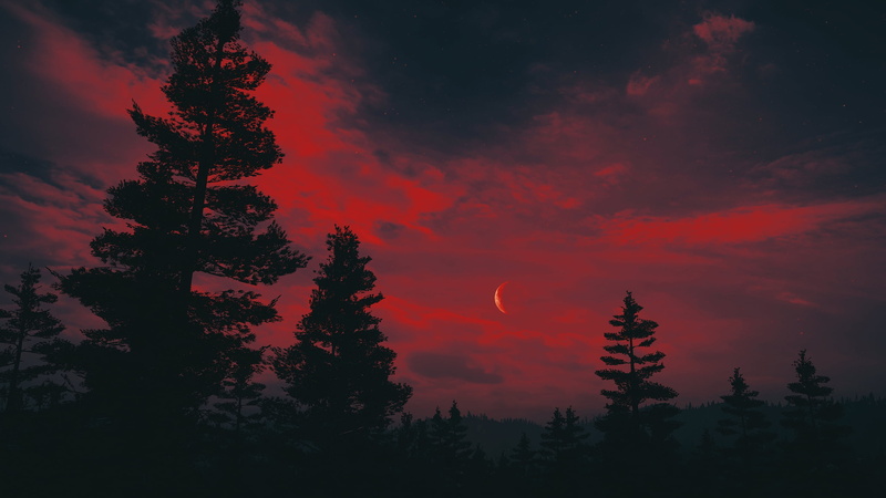 night, PC gaming, red sky, Far Cry 5, 2K, forest, landscape