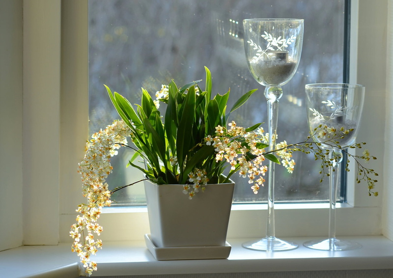 window, potted, flower arrangement, bunch of flowers, leafed, glass, bouquet, indoor, wine, drink, flowering plant, still life, drinking glass, nature