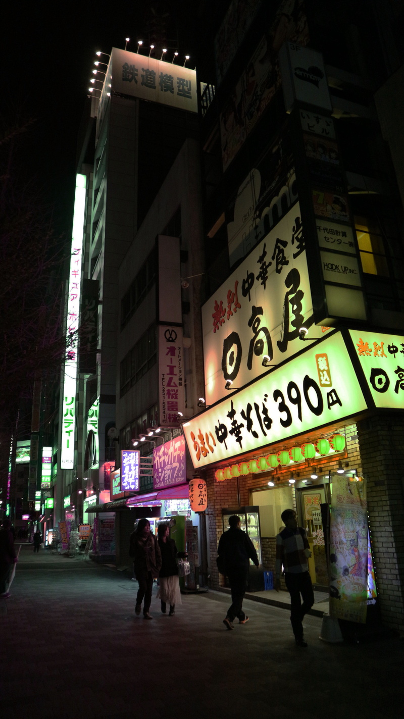 commercial sign, sign, akihabara station, built structure, building, neon, script, japan, akihabara, city, architecture, communication, akiba, real people