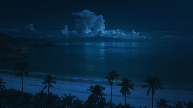 water, scenics - nature, nature, tree, tropical climate, plant, sea, tranquility, palm trees, travel destinations, palm tree, night, lagoon, 2K, royalty  images