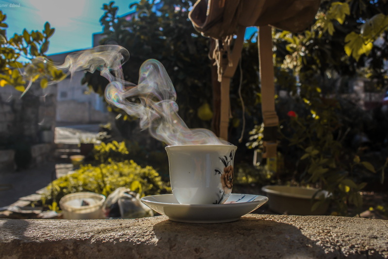 close-up, hot, stone, table, coffee plant, plant, focus on foreground, cup of coffee, refreshment, flowering plant, representation, morning, cup, architecture