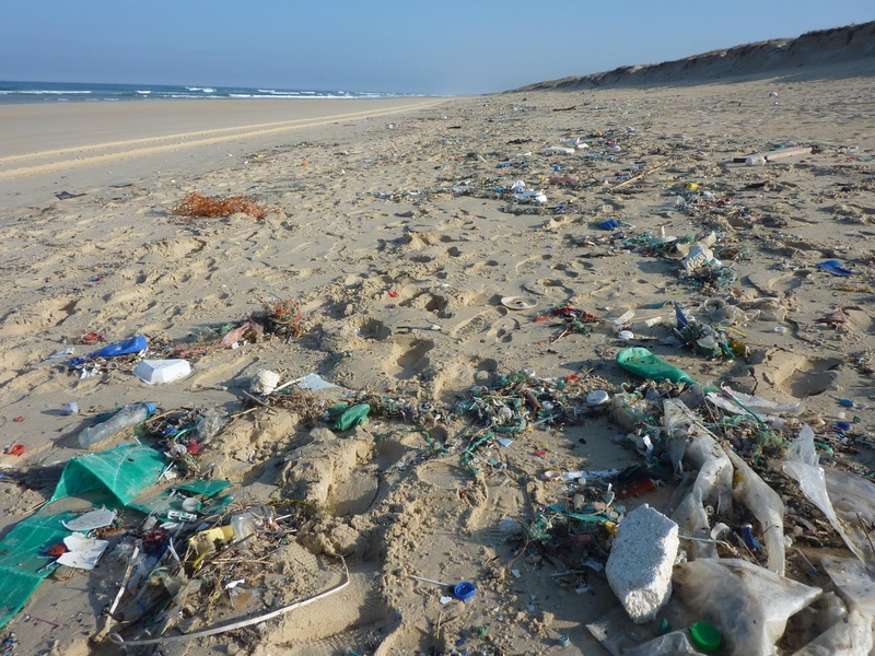 environmental issues, waste, dirty, coast, seashore, environment, beach, guise, 2K, line costs, garbage, day, nature, tranquil scene, sea, no people, scenics - nature