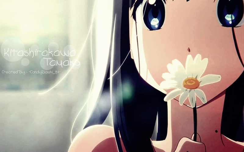 720P, Kitashirakawa Tamako, Tamako Market