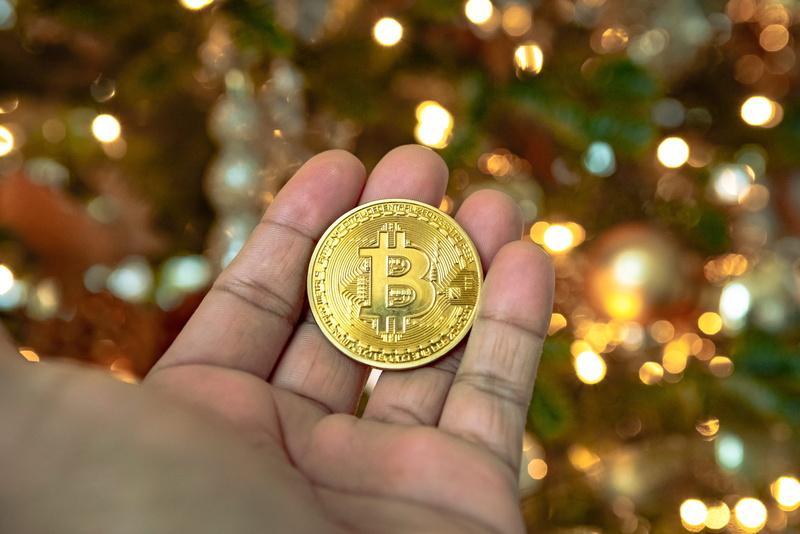 nickel, gold, wristwatch, wealth, human hand, decoration, crypto, finance, celebration, holding, close-up, tree, holiday, 4K, christmas, bitcoin, plant