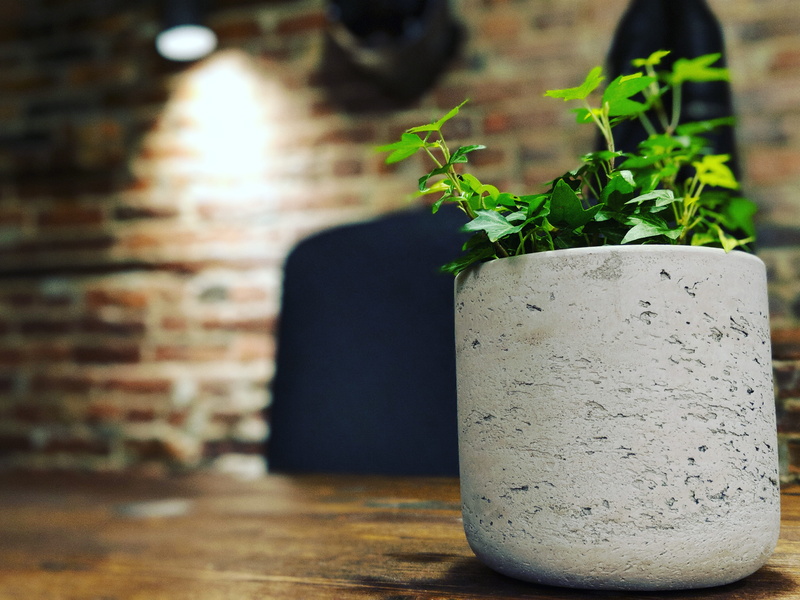 massive media, green, cement, table, container, thrive, plant, brick, nature, work, pot, leaf, day, plant part, fresh, food and drink, still life, no people