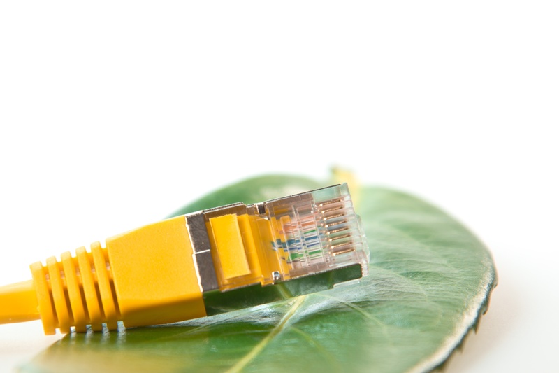 eco, rj, finance, rj-45, green, line, macro, patch cable, two objects, multi colored, internet, port, network, connection, still life, cut out, computer