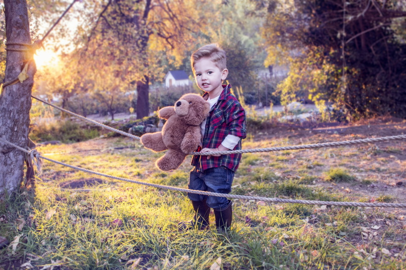 boys, fun, bear, 5K, boy, domestic animals, toy, teddy bear, caucasian Ethnicity, child, warm clothing, playing, real people, kid, animal themes, plant