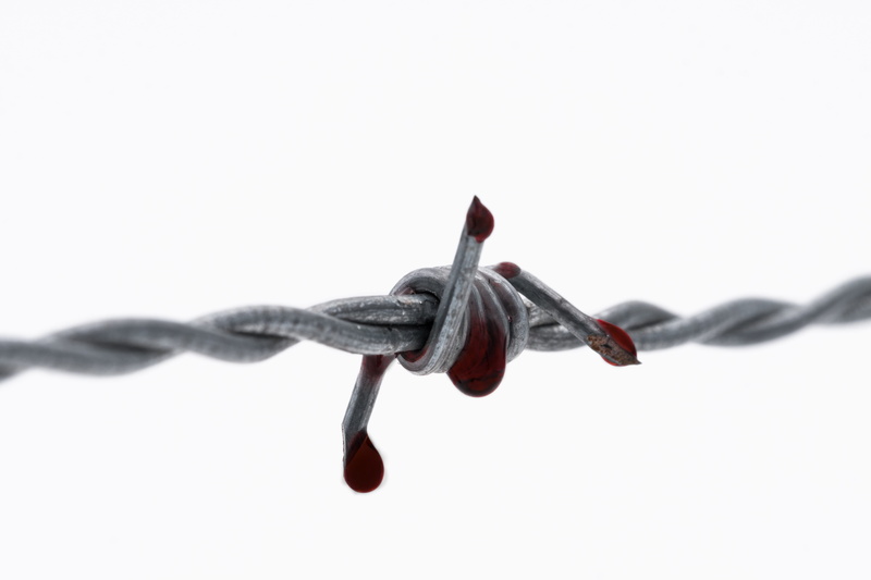barrier, twisted, rope, breaking, strength, white background, chain, technology, close-up, alloy, bloody, metal, barbed wire, studio shot, injury, fence