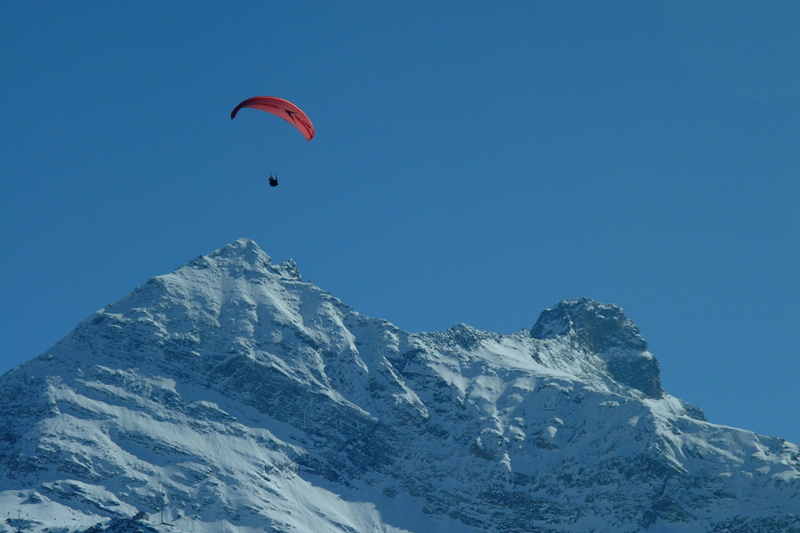 freedom, mountain, bird, adventure, switzerland, environment, mountain peak, joy, gliding, sport, mid-air, exhilaration, mountain range, person, sky, animal