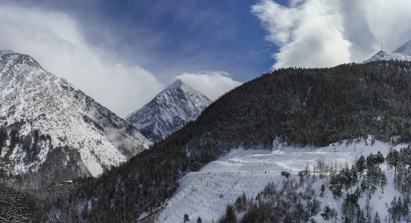 snowcapped mountain, sky, swiss, tree, snow, idyllic, switzerland, mountain, no people, tranquility, landscape, tranquil scene, scenics - nature, winter