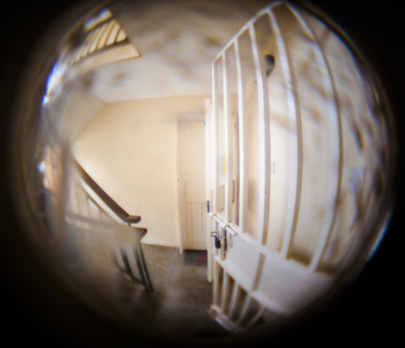 peep, building, metal, lighting equipment, safety, peephole, 4K, looking, lifestyle, interior, peek, spiral, glass - Material, Door, keyhole, animal wildlife