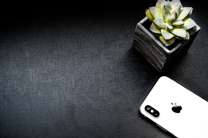 smartphone, food, studio shot, whatsapp, juicy, still life, rose, succulent, beside, luck, flowering plant, pot, no people, apple, iphone, close-up, 4K