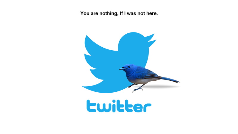 4K, Twitter, 4K