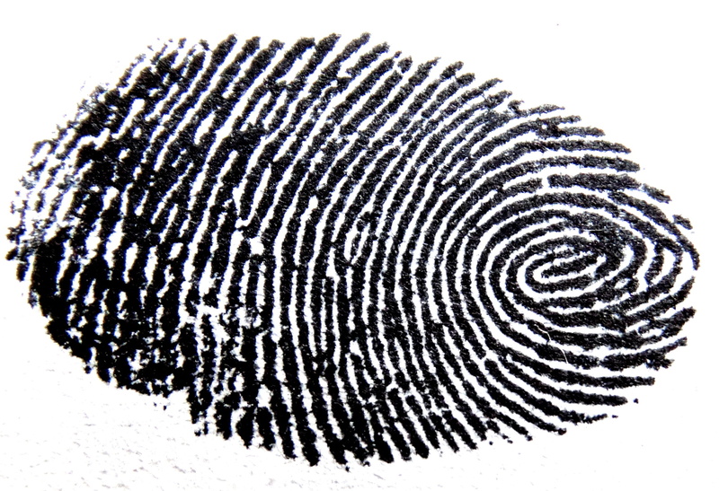 indoors, cut out, finger grooves, geometric shape, unique, pattern, thumb, black color, white background, finger, animals in the wild, textured, no people