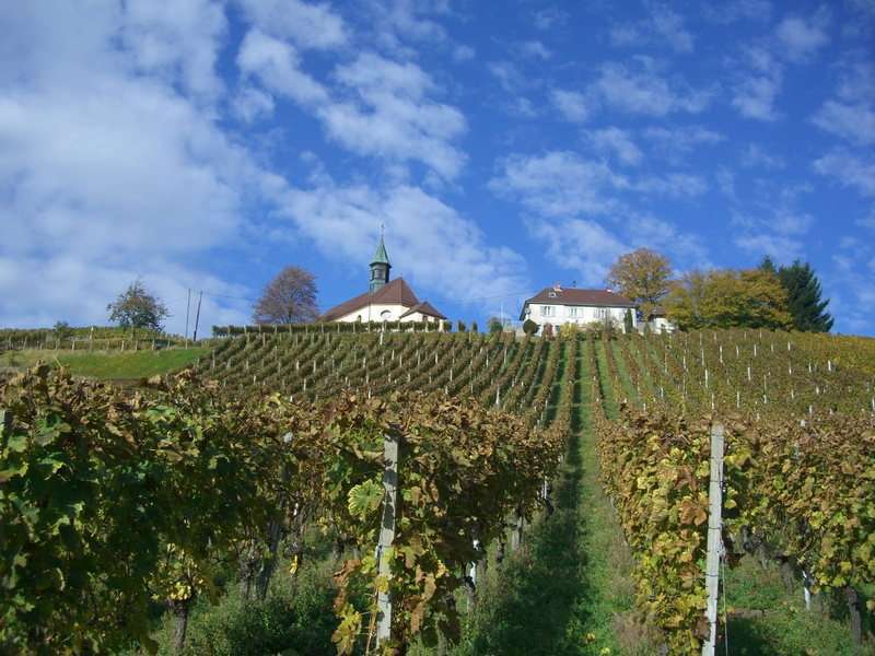 crop, day, swim, Bus, outdoors, built structure, tranquil scene, landscape, 1080P, plant, land, vineyard, scenics - nature, james bus chapel, cloud - sky