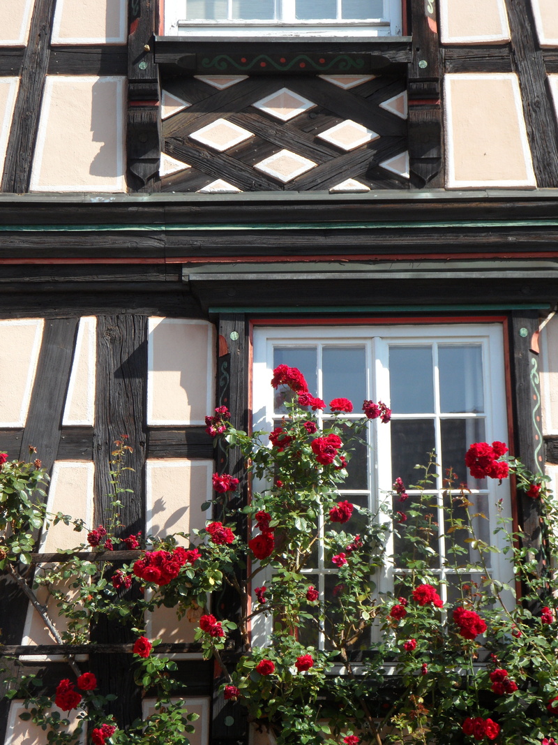 window, building exterior, built structure, freshness, home, red, truss, wall, flowering plant, nature, old town, growth, city, building, residential district