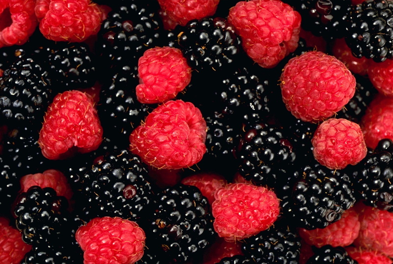 choice, healthy Eating, black Color, vegetarian Food, raspberries, 2K, blackberry, blueberries, abundance, berry Fruit, dieting, backgrounds, berry, indoors