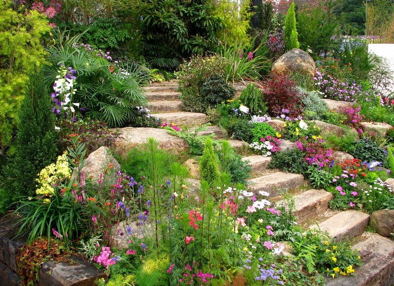 green Color, steps, summer, green, flower Head, tranquil scene, springtime, flower, footpath, flowers, plant, park - Man Made Space, outdoors, landscaped