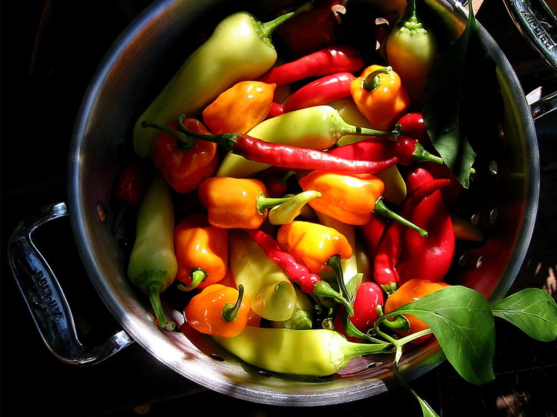 spice, fruit, vegetarian Food, ingredient, high angle view, yellow, paprika, pepper, pan, ripe, lot, freshness, pepper - Vegetable, chili, multi-colored