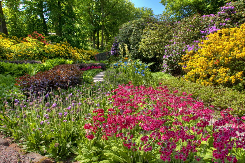 tranquil scene, day, multi Colored, allsorts, green Color, no People, flowerbed, scenics - nature, springtime, assorted, nature, plant, landscape, abundance