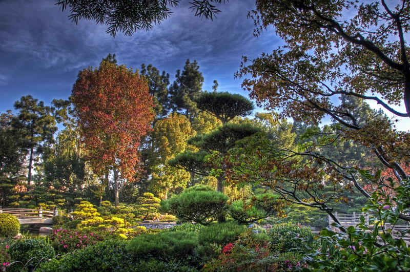 2K, tree, flowering plant, nature, china, leaf, red, outdoors, forest, no People, sky, yellow, lush Foliage, cloud - sky, autumn, vibrant Color, beauty In Nature
