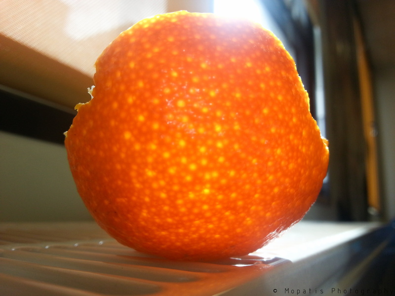 citrus fruit, wellbeing, white, food and drink, ceramic, food, orange - fruit, indoors, freshness, healthy eating, orange color, polka, 2K, sunlight, orange (fruit)