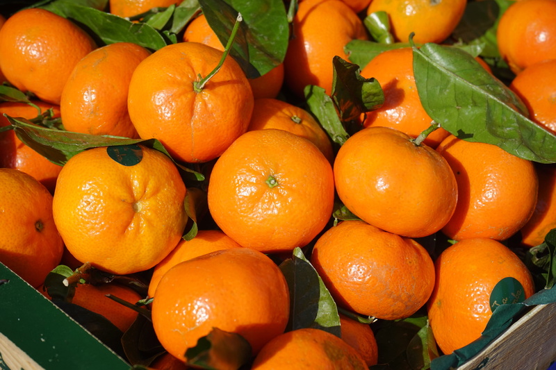 healthy eating, freshness, full frame, high angle view, clementine, day, basket, fruit, citrus × aurantium, wellbeing, transfer, 5K, orange - fruit, no people