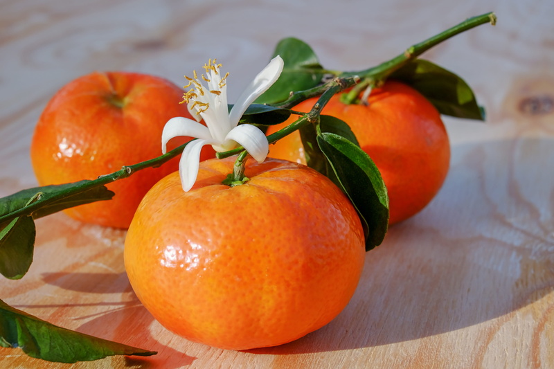 tangerines, delicious, wellbeing, orange - fruit, fruit, white, clementines, group of objects, orange color, bless you, freshness, tasty, fruits, vegetarian