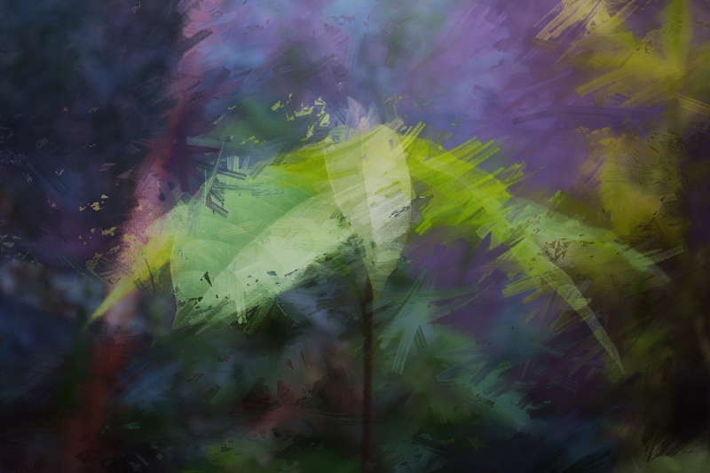 painting, Avocado, 1080P, abstract, elemental