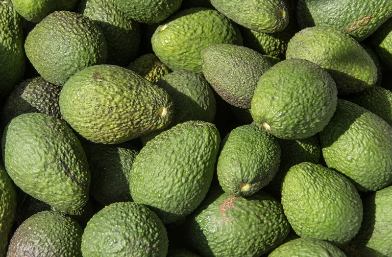 food and drink, green color, green, 2K, abundance, market, still life, harvest, hass avocado, large group of objects, no people, fresh, for sale, picked