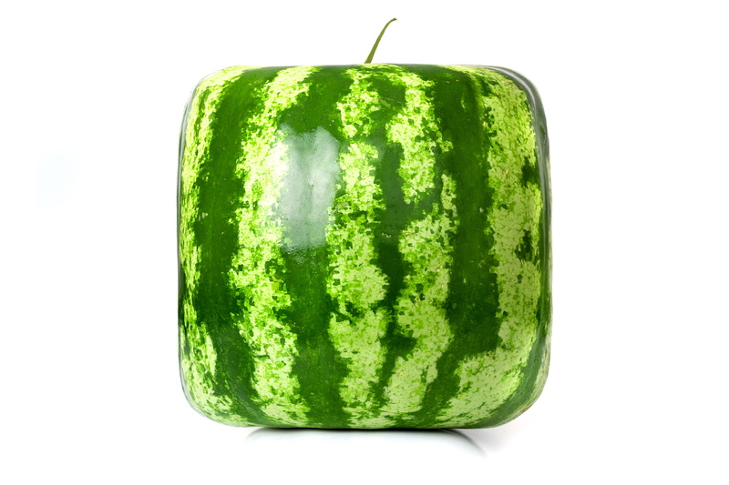 watermelon, rendering, 4K, cube, square watermelon, square