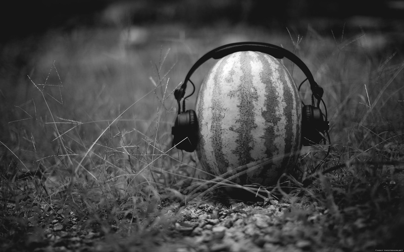 plant, humor, nature, focus on foreground, headphones, day, 1080P, no people, grayscale, close-up, photo, land, still life, mode of transportation, outdoors