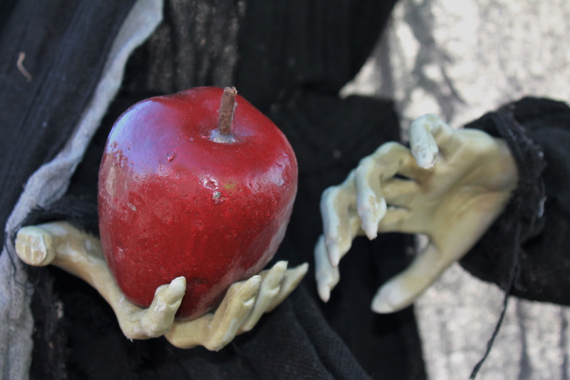 revenge, diabolical, decor, grimoire, nature, concoction, amber avalona, spell work, holding, vegetable, scary, paranormal, haunted, carnival, ritual, trunk or treat