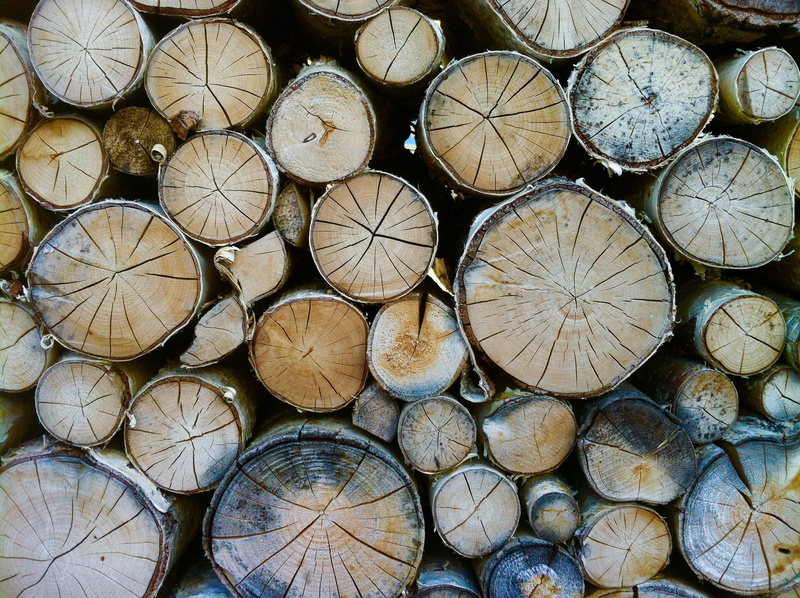 stack, woodpile, wood - material, lumber industry, annual rings, abundance, 2K, arrangement, no people, firewood, environmental issues, wood, holzstapel
