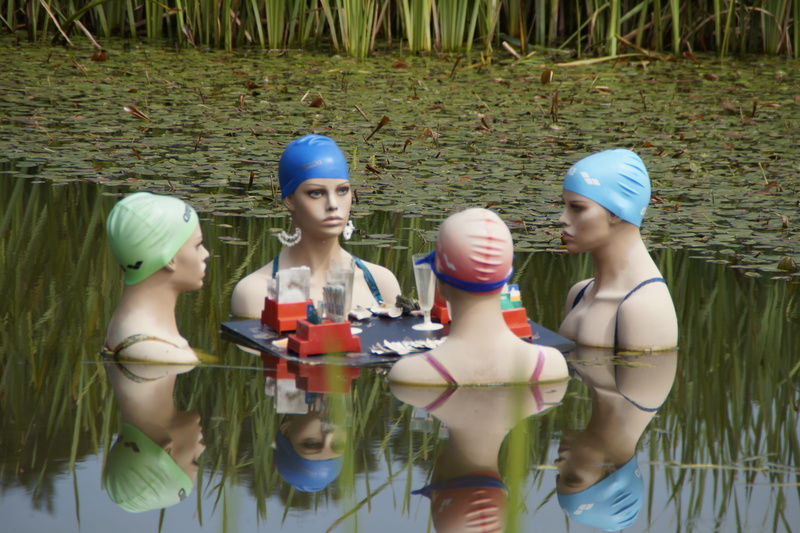 bonding, real people, waters, Group, Gambling, compared to, nature, body, leisure activity, mirroring, modern, graceful, human representation, swimming