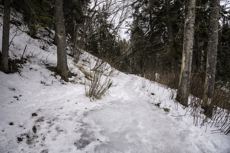 Minnesota, white color, weather, cold temperature, the way forward, frost, cascade, United States, trees, tranquil scene, photos, season, no People, 5K