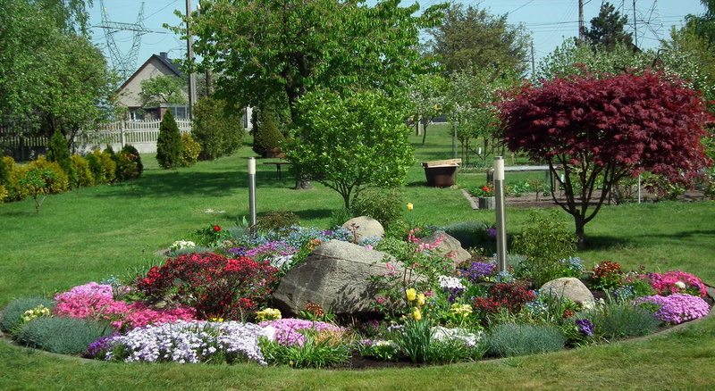 day, park - man made space, flower, discounting zipper, ornamental garden, plant, growth, front or back yard, 2K, beauty in nature, garden, freshness