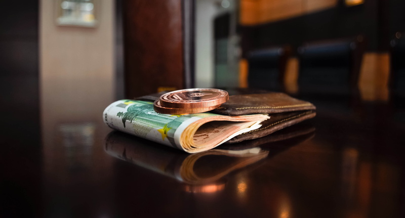 bill, no people, wallet, bifold, brown, token, money, bronze, green, banking, selective focus, container, close-up, wealth, colored, paper currency, coin