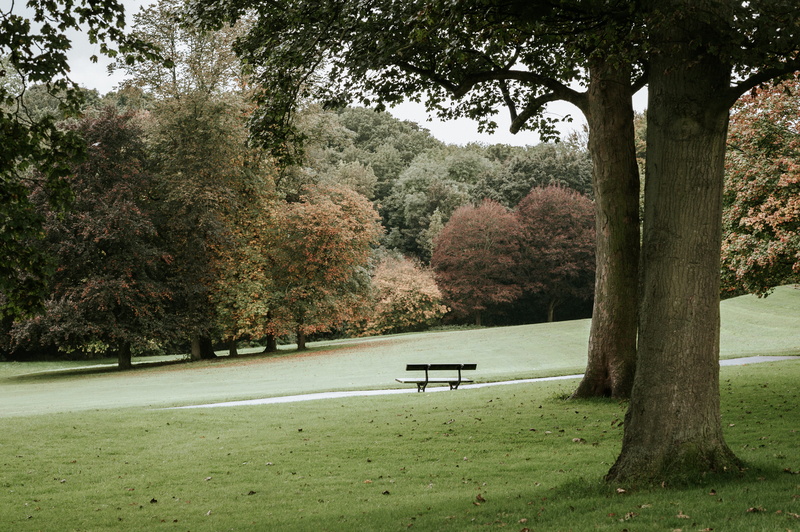 park bench, no people, tranquil scene, tree, beauty in nature, day, trees, absence, green color, park, empty, leeds, forest, land, seat, bench, park - man made space