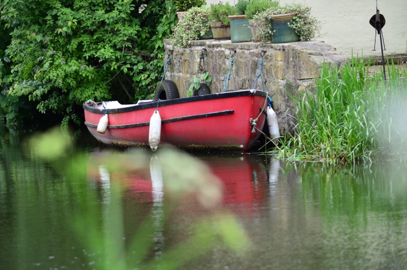 no people, waterfront, green color, rowboat, 720P, nature, water, moored, plant, growth, nautical vessel, inflatable, reflection, mode of transportation