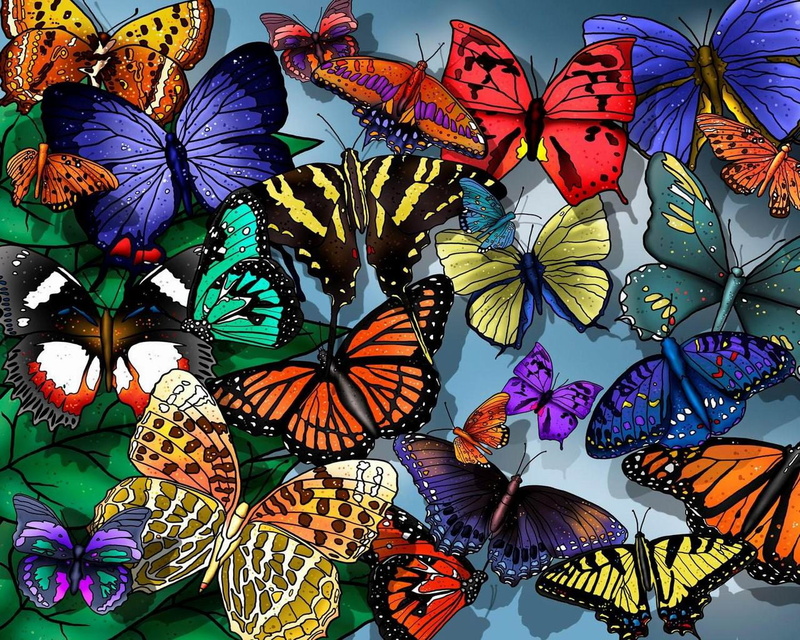pattern, flying, plant, indoors, creativity, butterfly - Insect, nature, decoration, colors, vibrant Color, illustration, summer, easy, monarch Butterfly
