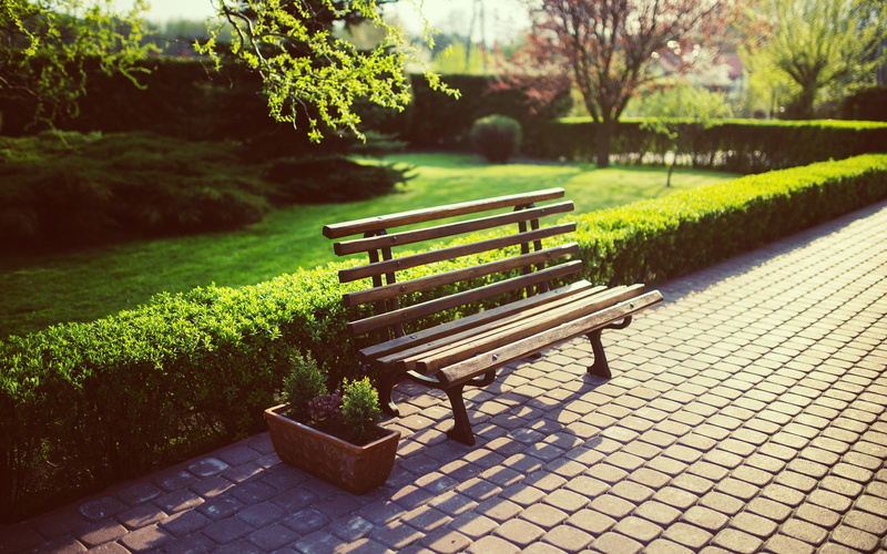 grass, tranquility, bench, park, park bench, day, sunshine, nature, empty, beauty in nature, sunlight, summer, footpath, absence, growth, 2K, no people