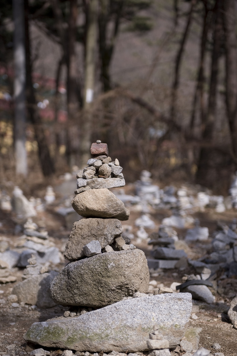 tree, close-up, hope, prayer, stone tower, stone - Object, focus on foreground, no people, sunlight, genesis, pebble, forest, outdoors, rock - Object, rock