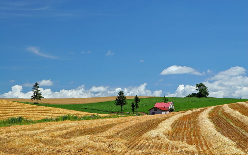 bale, scenics - nature, beauty In Nature, landscape, horizon Over Land, day, agriculture, autumn, industry, no People, agricultural machinery, rural Scene