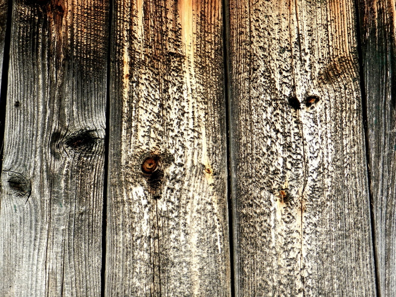 pattern, entrance, close-up, crack, outdoors, surface, textured, texture, wooden, deterioration, knots, decline, metal, protection, timber, 1080P, no people