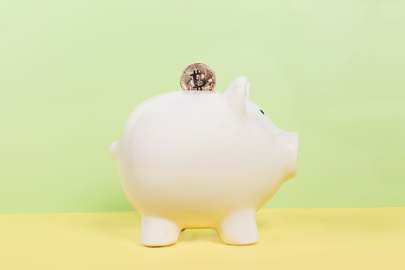studio shot, indoors, photo, close-up, animal representation, savings, coin bank, colored background, focus on foreground, investment, representation, animal