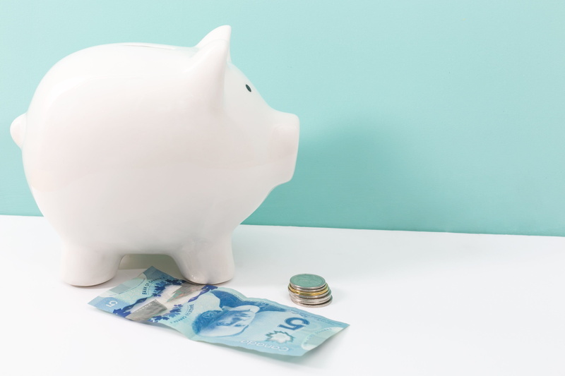 consumerism, representation, animal representation, Professional, no people, coin bank, piggy, Business, paper currency, colored background, coin, photo