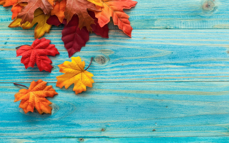 pattern, orange color, flower, flower head, leaf, plant, wood - material, table, directly above, beauty in nature, still life, autumn, leaves, 1080P, wooden surface